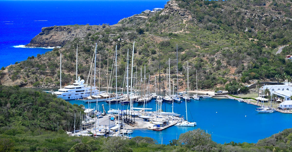 Stunning aerial view of a serene harbor with moored yachts, surrounded by lush hills and vibrant blue water.