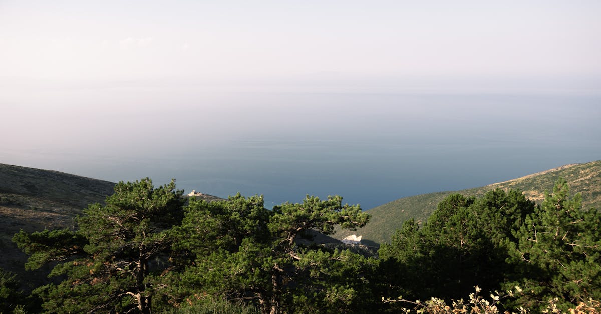 Breathtaking view of lush green hills overlooking the serene sea in Vlora, Albania.