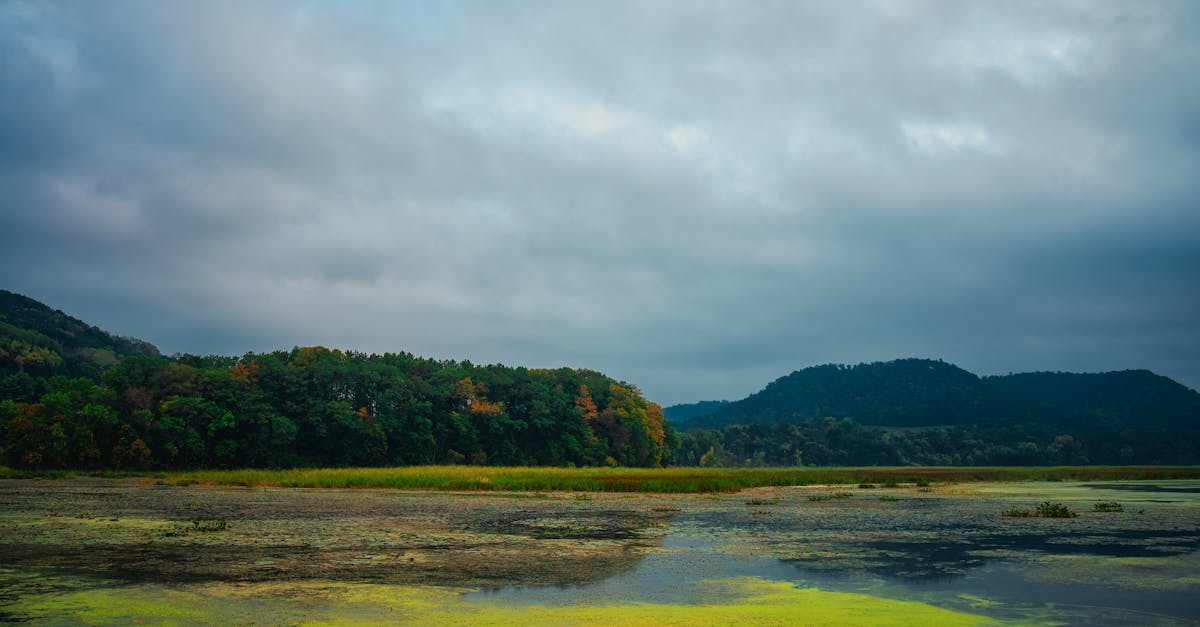 Serene autumn landscape in Alma, Wisconsin, with lush greenery and calm waters reflecting the overcast sky.
