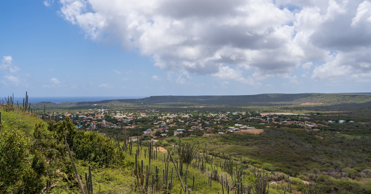 Explore the lush green landscape and skyline of Bonaire in the Caribbean.