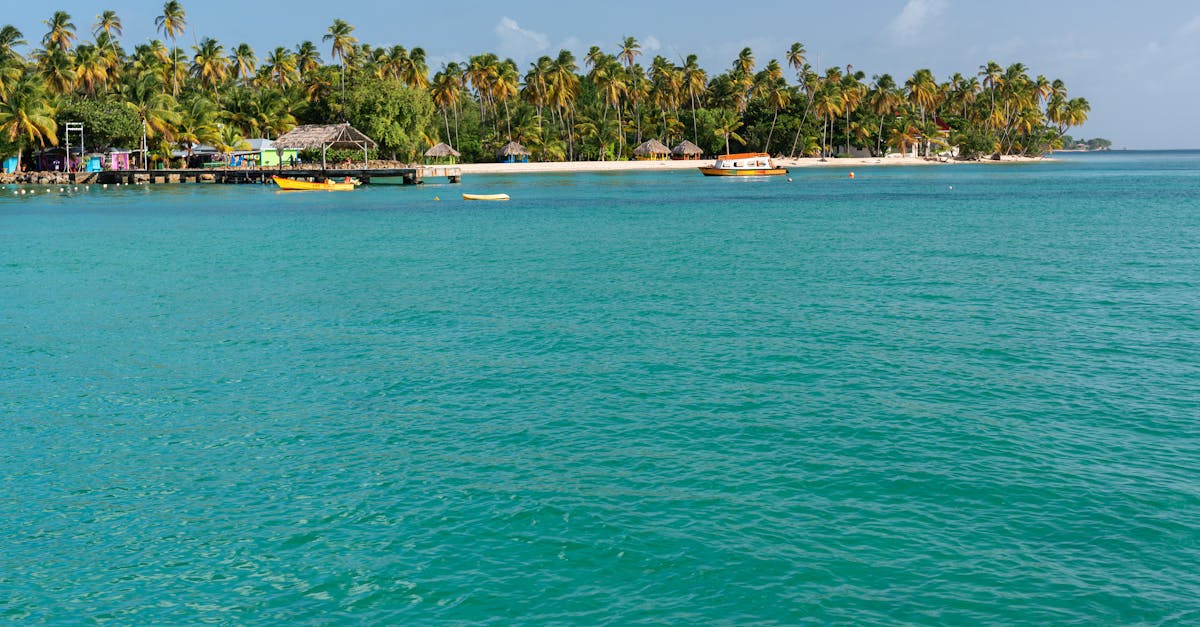 Tranquil beach with coconut palms and turquoise waters in Tobago, Trinidad and Tobago.