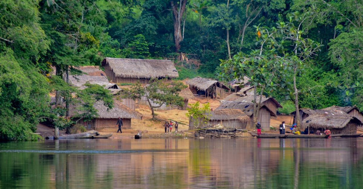 Scenic view of a rural village along a river in the lush Congo rainforest.
