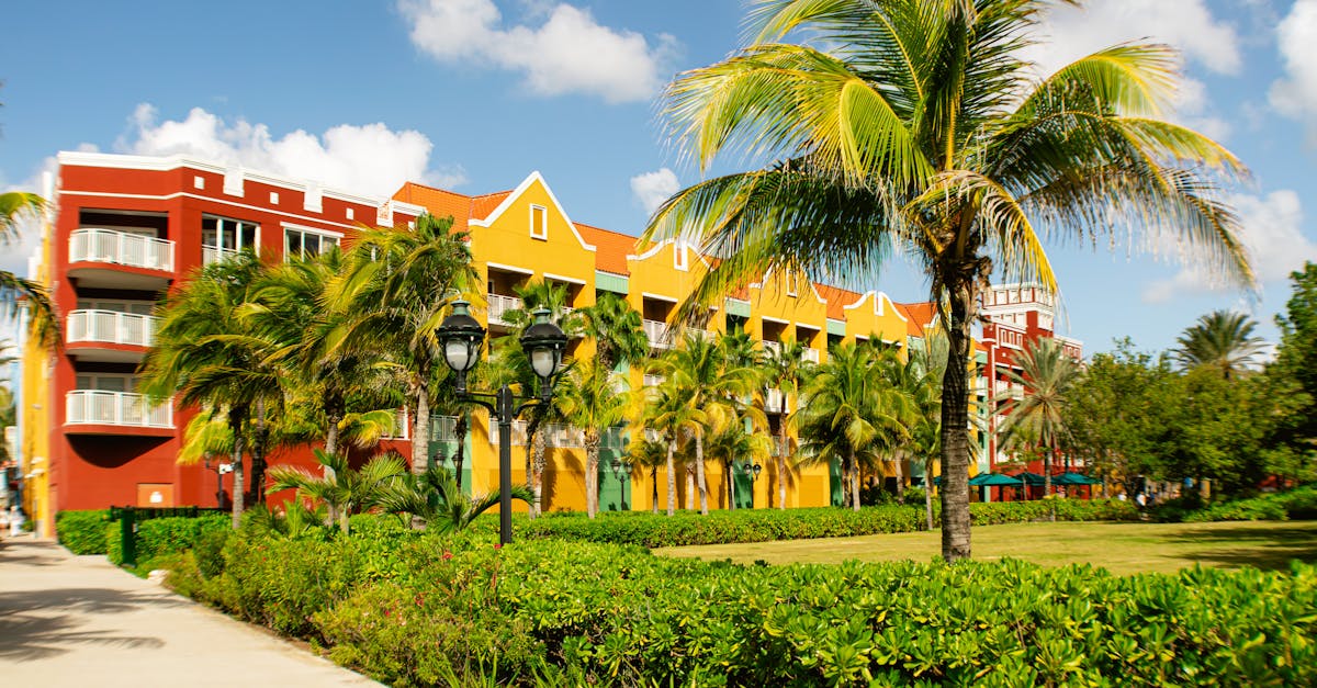 Brightly colored buildings and palm trees in vibrant Willemstad, Curacao.