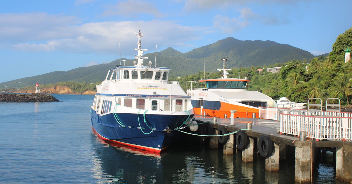 Ferry boats at a scenic tropical harbor with mountains in the background.