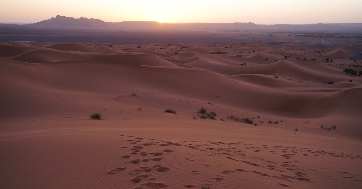 Beautiful sunrise over the sand dunes of Merzouga, Morocco, with footprints in the foreground.
