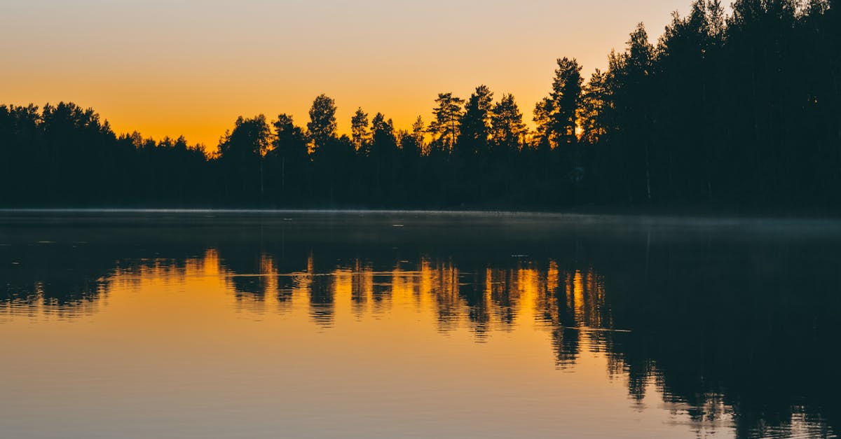Peaceful early morning sunrise over a tranquil lake in Jyväskylä, Finland, with tree silhouettes reflecting in the water.