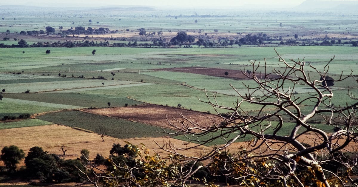 Aerial view of lush rural farmland in India with vibrant fields and trees.