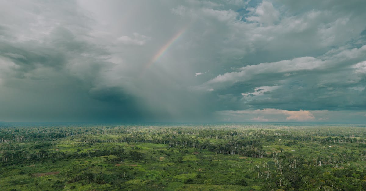 Explore the lush Cameroon rainforest from above, capturing a rainbow amidst dramatic clouds.