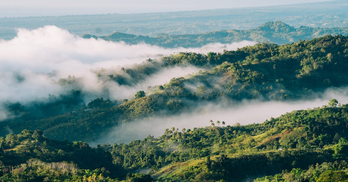 Captivating view of misty mountains in Davao City, highlighting lush greenery and tranquil morning ambiance.