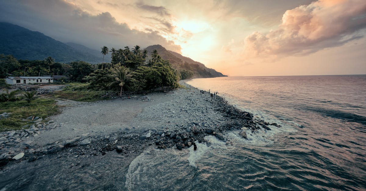 Tranquil coastal view featuring waves, lush greenery, and a vibrant sunset sky.