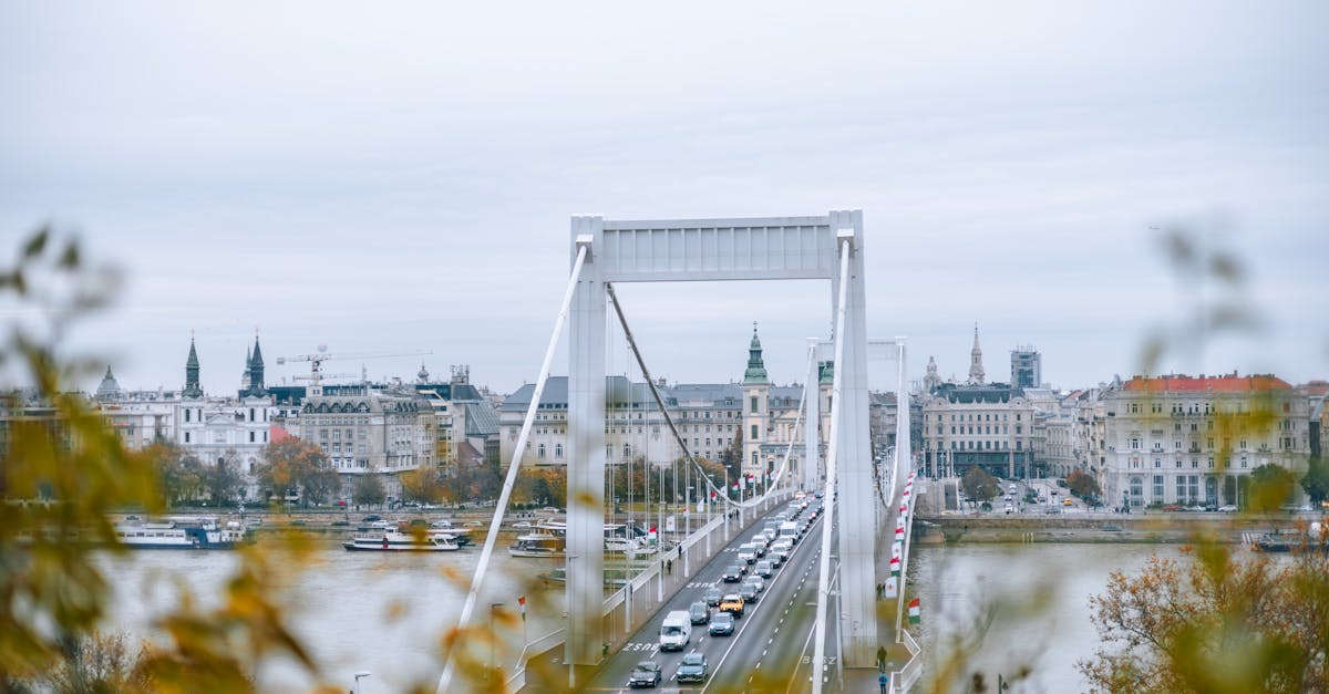 Stunning aerial view of Budapest's Erzsébet Bridge with urban skyline and river.