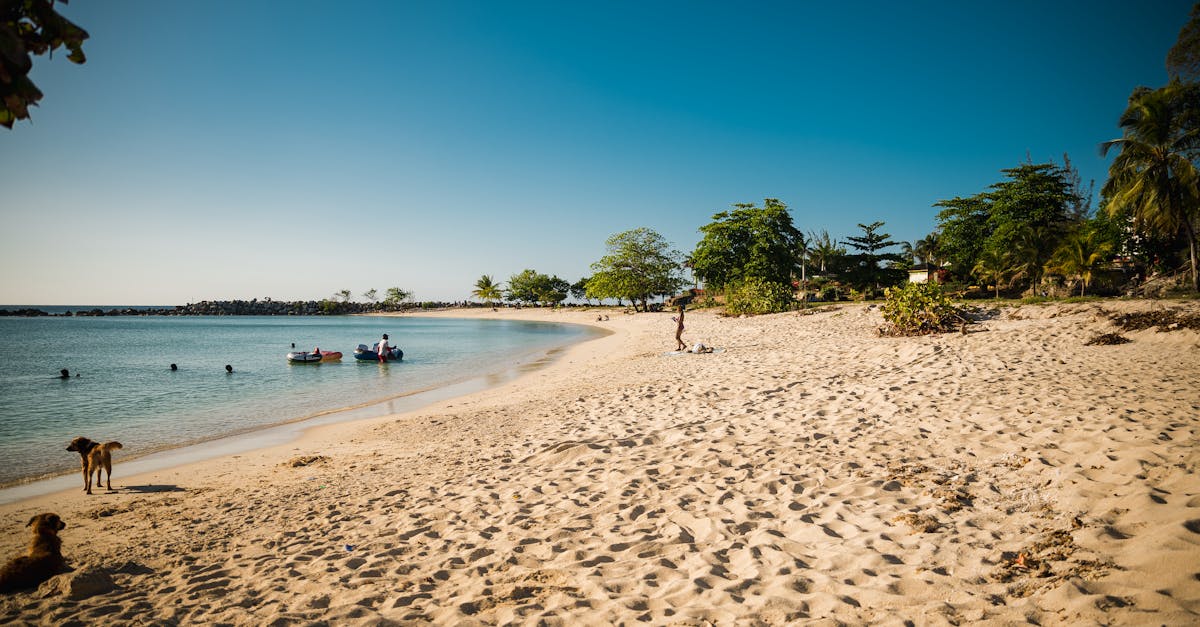 Enjoy a relaxing day at Montego Bay's scenic beach with clear waters and vibrant atmosphere.