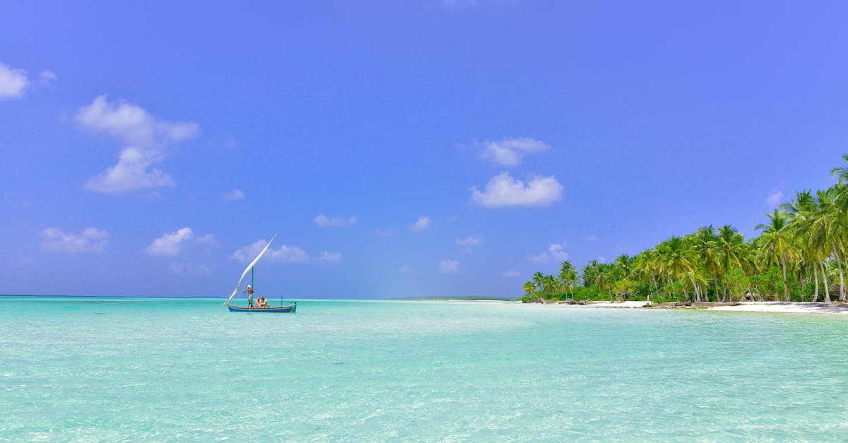 Tranquil turquoise waters and palm trees create paradise on a tropical island.
