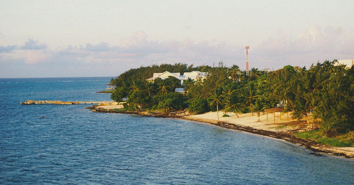 Serene tropical coastline with palm trees and ocean view at sunset, perfect for travel inspiration.