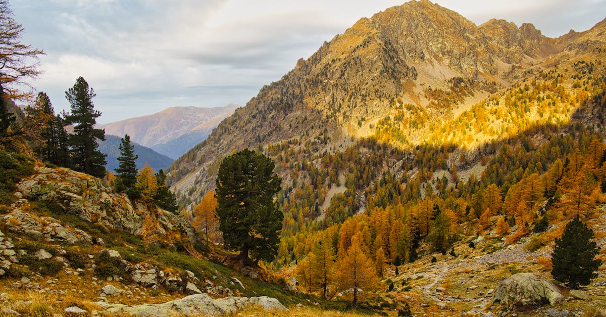 Vibrant autumn scene in Saint-Martin-Vésubie, Provence-Alpes-Côte d'Azur, France.