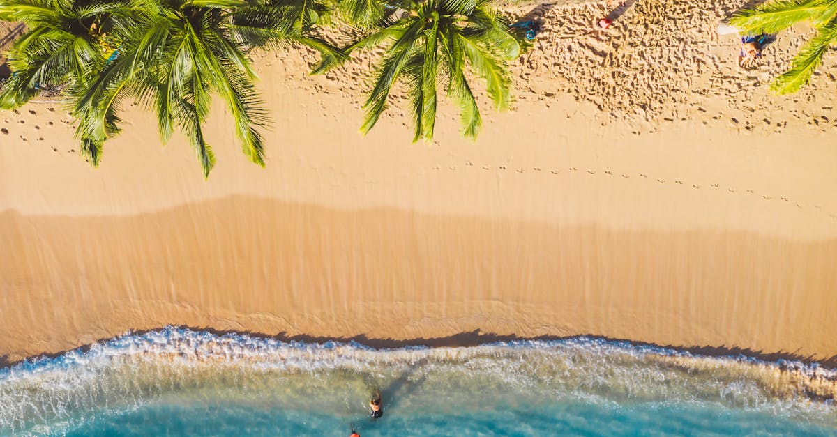 Stunning overhead shot of a tropical beach with swaying palm trees and ocean waves hitting the sandy shore.