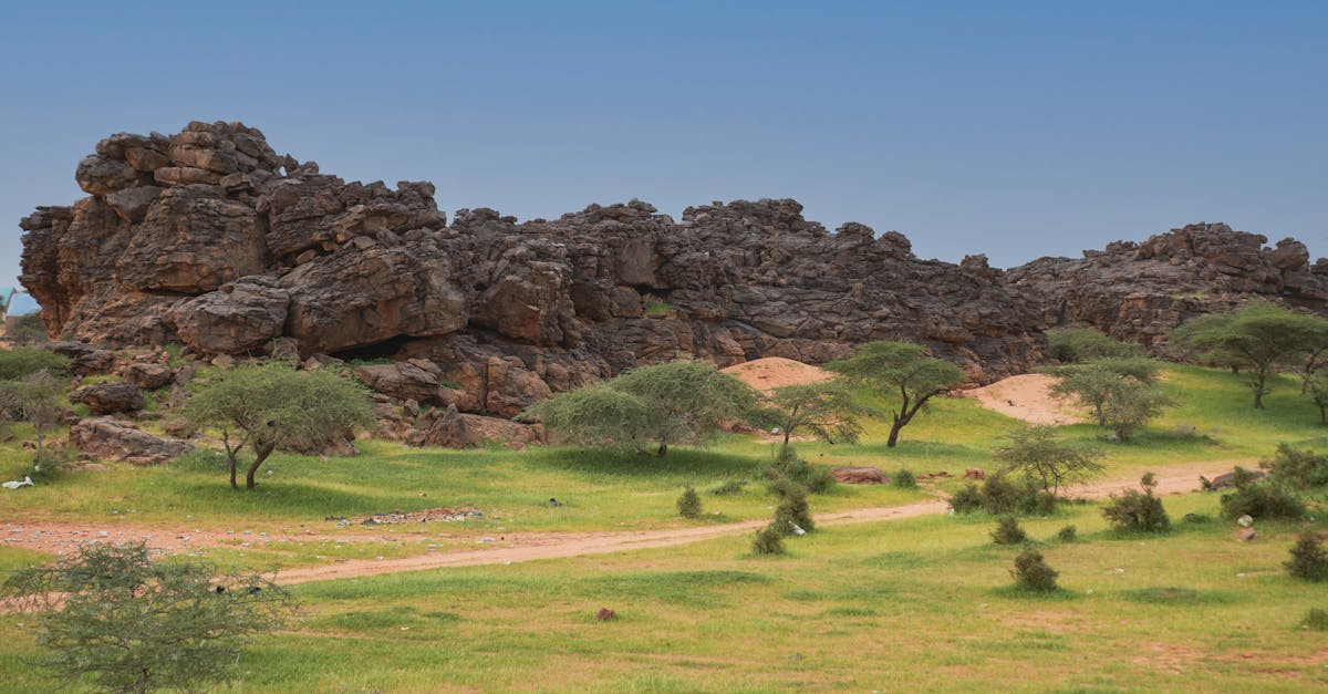 Stunning rocky formations and greenery in Ayoun el Atrous, Hodh El Gharbi, Mauritania.