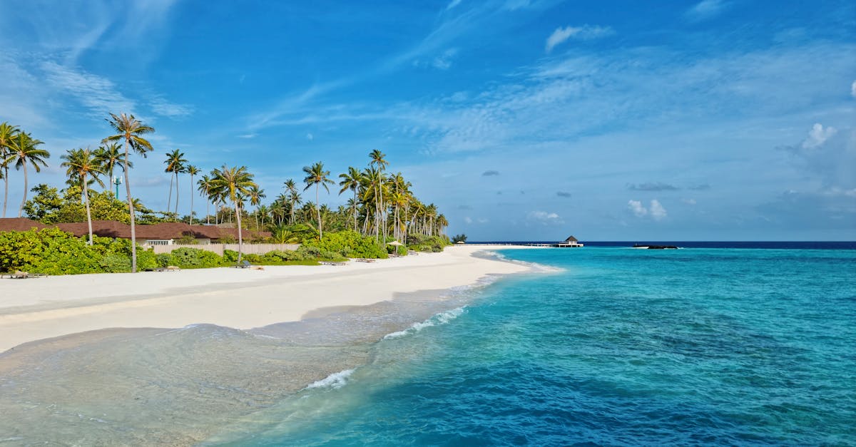 Experience the serene beauty of Maldives with turquoise waters and white sandy beach under a clear blue sky.