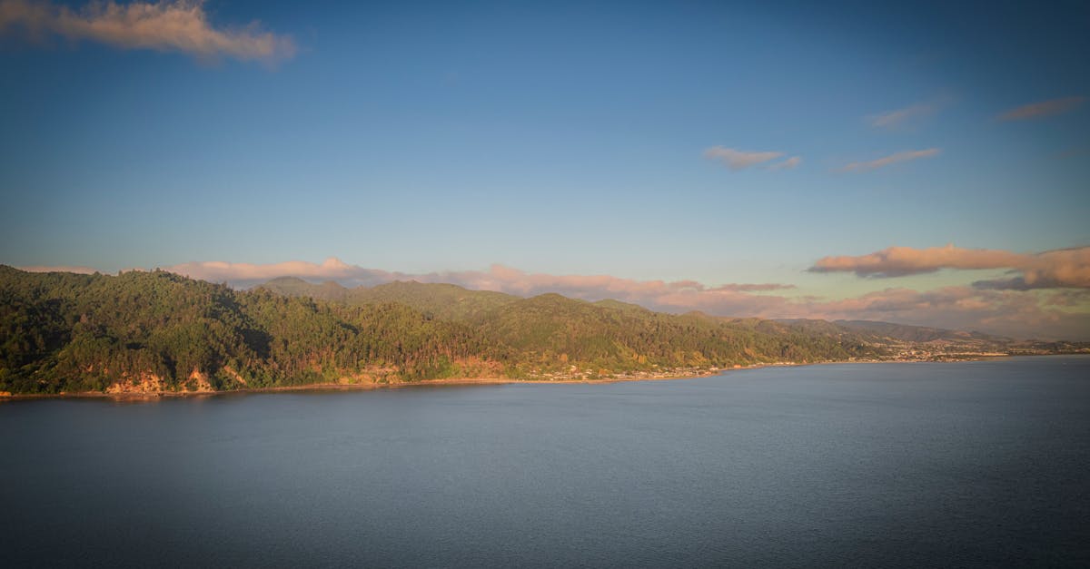 Breathtaking aerial view of New Zealand's coastline with lush green hills and calm sea at sunset.
