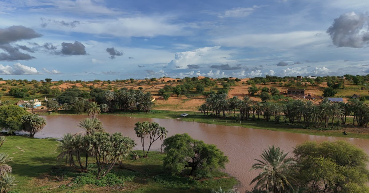 A picturesque river landscape with palm trees and desert dunes under a dramatic sky.