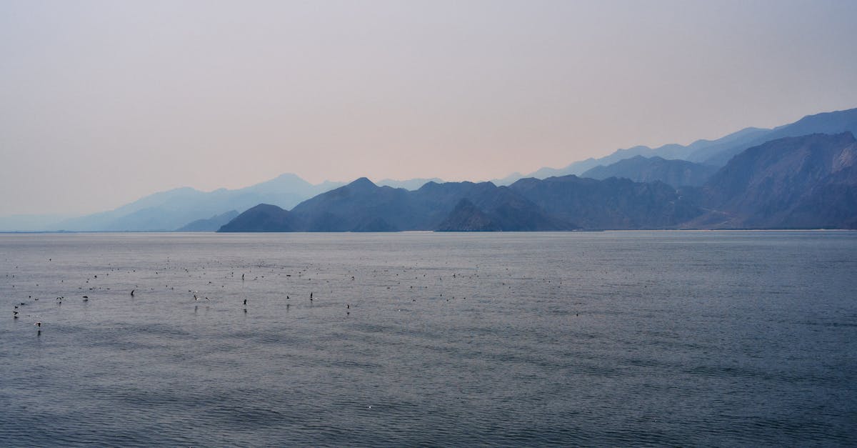 Breathtaking view of the tranquil waters and rugged mountains of Musandam, Oman, captured at dusk.
