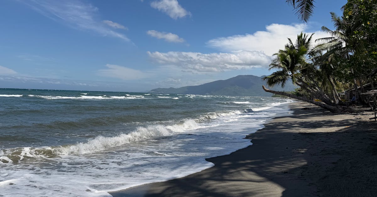 Serene tropical beach with palm trees and gentle waves under a bright blue sky.