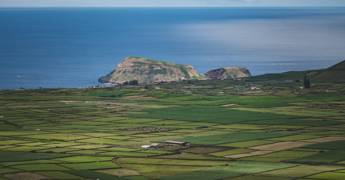 Aerial view of lush green farmland next to the ocean with distant island in the horizon.
