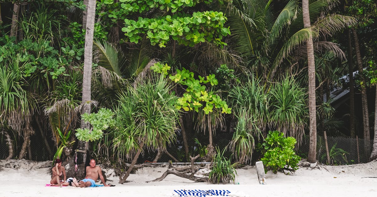 A tranquil scene with people relaxing on a tropical beach surrounded by lush greenery.