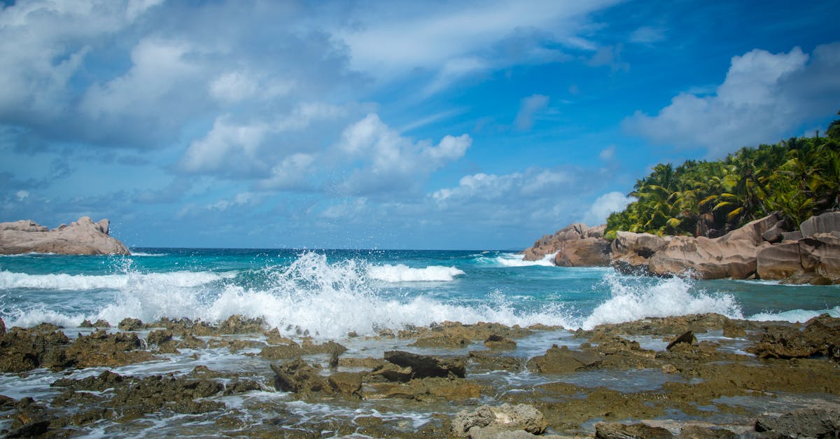 Waves crashing on a rocky beach with palm trees under a bright blue sky.