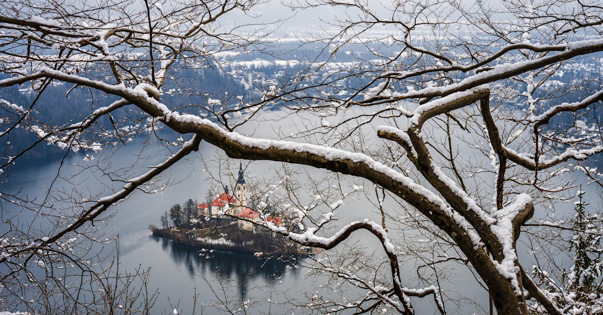 Captivating winter view of snow-covered Bled Island through leafless branches in Slovenia.