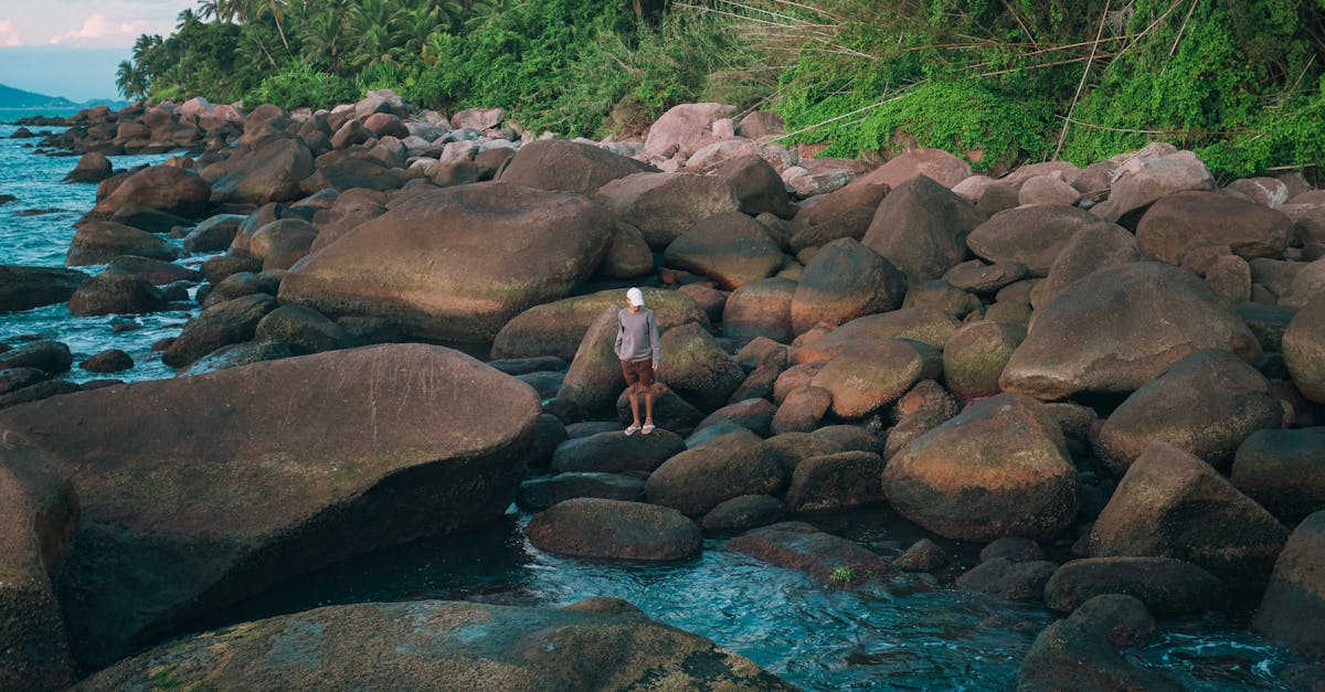 A lone figure stands on the rocky shore of Ilhabela, Brazil, surrounded by lush greenery.