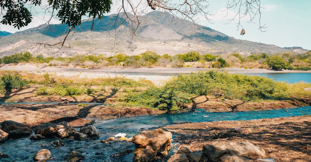 A tranquil river flows through lush greenery with a backdrop of mountains in El Salvador's picturesque scenery.