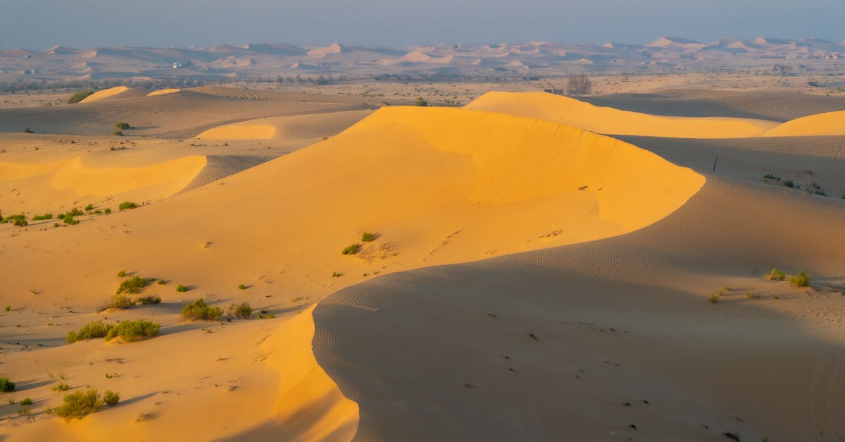 A breathtaking view of golden sand dunes in Abu Dhabi, capturing the serene desert landscape.