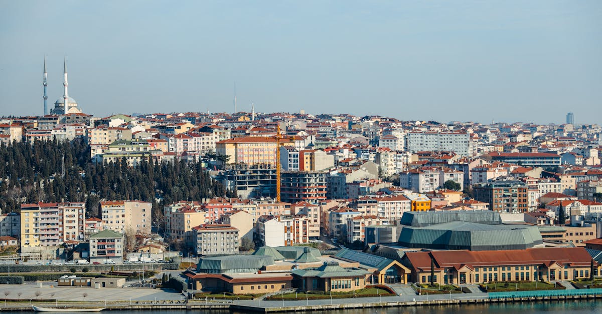 A scenic aerial view of Istanbul's skyline along the Bosphorus, capturing urban sprawl and a prominent mosque.