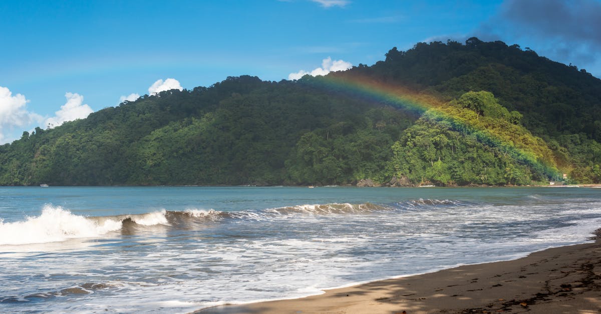 Vibrant rainbow stretches over a lush green hill by a sandy beach in Trinidad and Tobago.