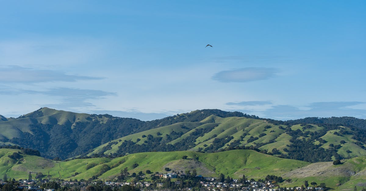 Beautiful panoramic view of green rolling hills and a vibrant town beneath a clear blue sky.
