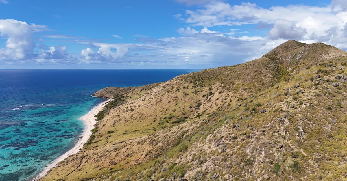 Vivid aerial shot of St. Croix's rugged coastline and clear blue waters under a bright sky.