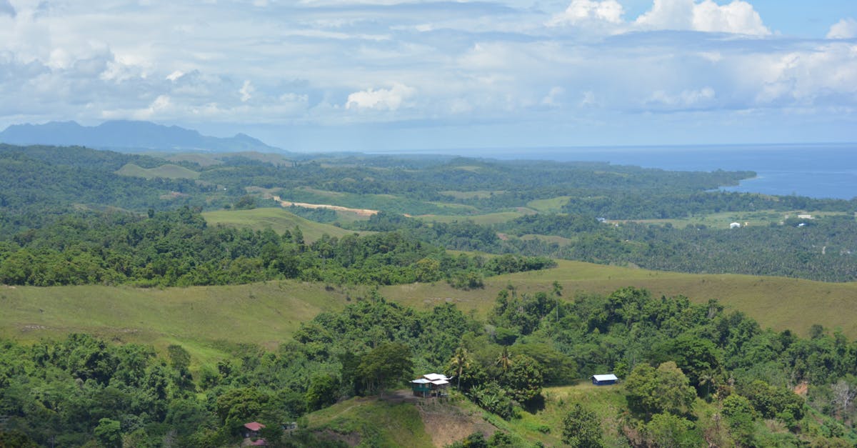 Breathtaking aerial view of green forests, rolling hills, and a distant ocean horizon under a clear blue sky.